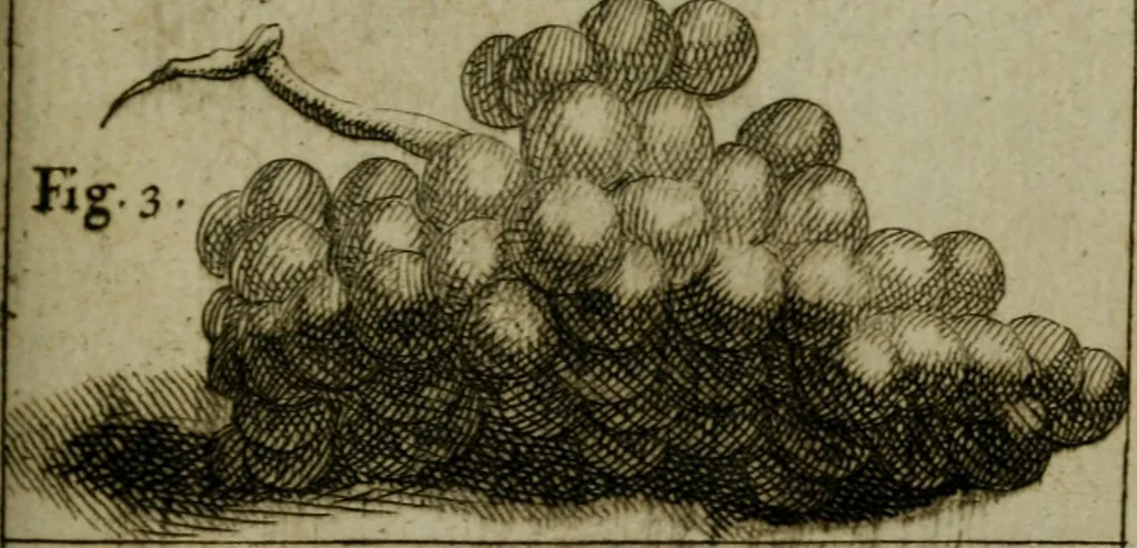 An illustration from Cours de peinture par principes, 1708, leaf 396