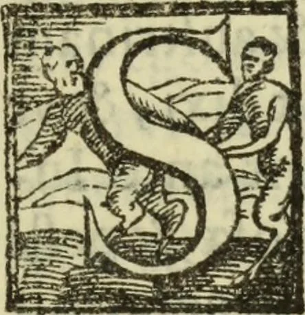 An illustration from De pestilentia Hieronymi Mercurialis Foroliuiensis medici praeclarissimi lectiones habitae Patauii M.D.LXXVII mense Ianuarii : in quibus de peste in vniuersum, praesertim vero de Veneta, & Patauina, singulari quadam eruditione tractatur, 1577, leaf 36