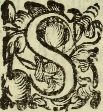 An illustration from De pestilentia Hieronymi Mercurialis Foroliuiensis medici praeclarissimi lectiones habitae Patauii M.D.LXXVII mense Ianuarii : in quibus de peste in vniuersum, praesertim vero de Veneta, & Patauina, singulari quadam eruditione tractatur, 1577, leaf 37