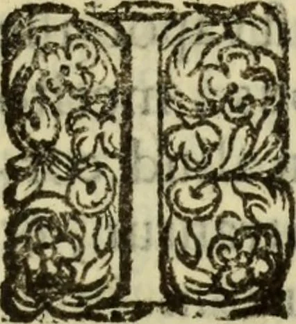An illustration from De pestilentia Hieronymi Mercurialis Foroliuiensis medici praeclarissimi lectiones habitae Patauii M.D.LXXVII mense Ianuarii : in quibus de peste in vniuersum, praesertim vero de Veneta, & Patauina, singulari quadam eruditione tractatur, 1577, leaf 50