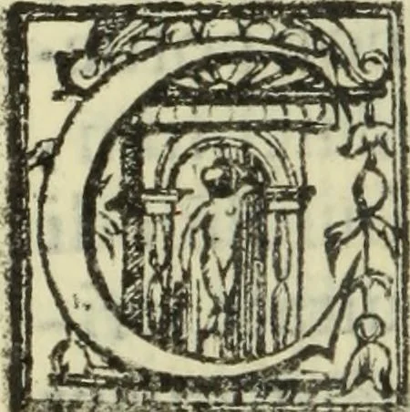 An illustration from De pestilentia Hieronymi Mercurialis Foroliuiensis medici praeclarissimi lectiones habitae Patauii M.D.LXXVII mense Ianuarii : in quibus de peste in vniuersum, praesertim vero de Veneta, & Patauina, singulari quadam eruditione tractatur, 1577, leaf 71