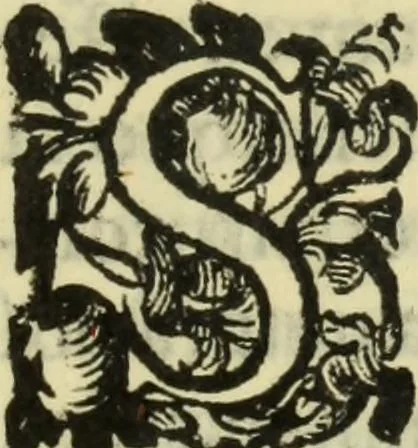 An illustration from De pestilentia Hieronymi Mercurialis Foroliuiensis medici praeclarissimi lectiones habitae Patauii M.D.LXXVII mense Ianuarii : in quibus de peste in vniuersum, praesertim vero de Veneta, & Patauina, singulari quadam eruditione tractatur, 1577, leaf 76