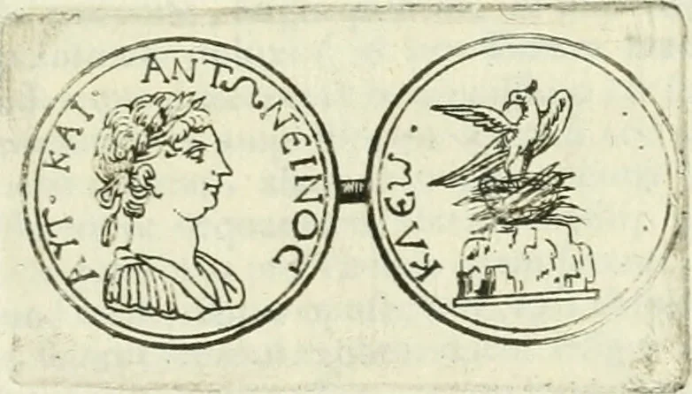 An illustration from De phoenice, in numismate imp. Antonini Caracallae expressa : epistola Gabrielidis Carolae Patinae, 1683, leaf 2