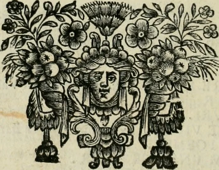 An illustration from De phoenice, in numismate imp. Antonini Caracallae expressa : epistola Gabrielidis Carolae Patinae, 1683, leaf 21