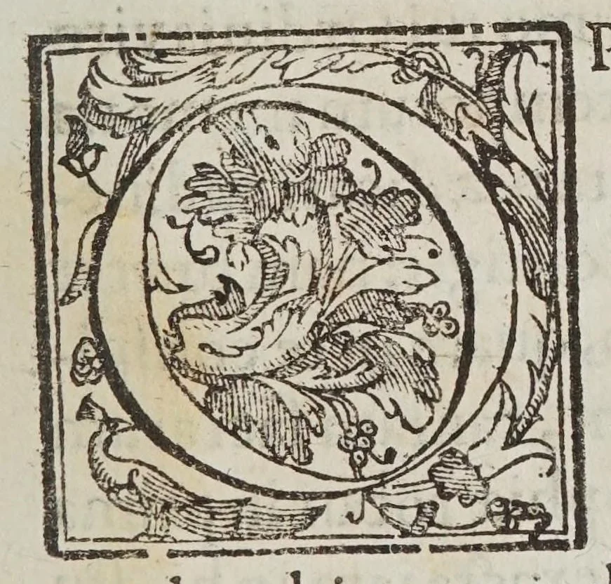 An illustration from De phoenomenis in orbe lvnae : novi telescopii vsv a D. Gallileo Gallileo nvnc itervm svscitatis physica disputatio, 1612, leaf 9