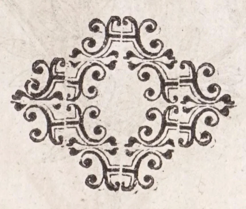 An illustration from De plantis exoticis libri duo Prosperi Alpini, philosophi medici, in gymnasium Patauino medicamentorum simplicium professoris ordinarij, & horti medici praefecti : opus completum, editum studio, ac opera Alpini Alpini, phylosophi & medici auctoris filij, 1627, leaf 131