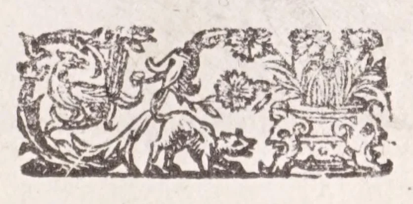 An illustration from De plantis exoticis libri duo Prosperi Alpini, philosophi medici, in gymnasium Patauino medicamentorum simplicium professoris ordinarij, & horti medici praefecti : opus completum, editum studio, ac opera Alpini Alpini, phylosophi & medici auctoris filij, 1627, leaf 23