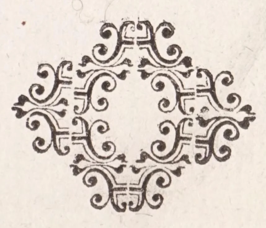 An illustration from De plantis exoticis libri duo Prosperi Alpini, philosophi medici, in gymnasium Patauino medicamentorum simplicium professoris ordinarij, & horti medici praefecti : opus completum, editum studio, ac opera Alpini Alpini, phylosophi & medici auctoris filij, 1627, leaf 239