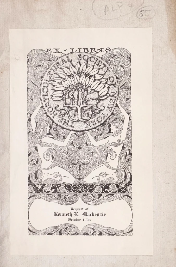 An illustration from De plantis exoticis libri duo Prosperi Alpini, philosophi medici, in gymnasium Patauino medicamentorum simplicium professoris ordinarij, & horti medici praefecti : opus completum, editum studio, ac opera Alpini Alpini, phylosophi & medici auctoris filij, 1627, leaf 3