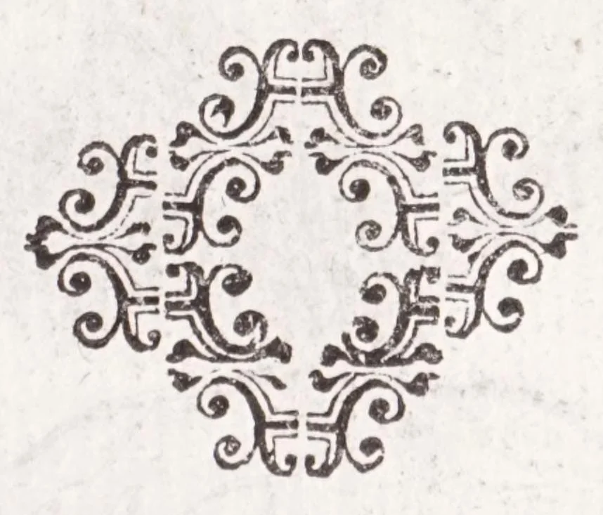An illustration from De plantis exoticis libri duo Prosperi Alpini, philosophi medici, in gymnasium Patauino medicamentorum simplicium professoris ordinarij, & horti medici praefecti : opus completum, editum studio, ac opera Alpini Alpini, phylosophi & medici auctoris filij, 1627, leaf 335