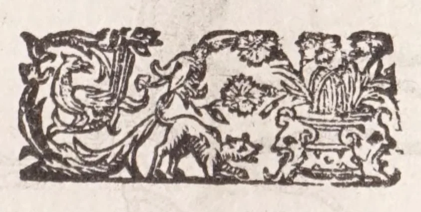 An illustration from De plantis exoticis libri duo Prosperi Alpini, philosophi medici, in gymnasium Patauino medicamentorum simplicium professoris ordinarij, & horti medici praefecti : opus completum, editum studio, ac opera Alpini Alpini, phylosophi & medici auctoris filij, 1627, leaf 55