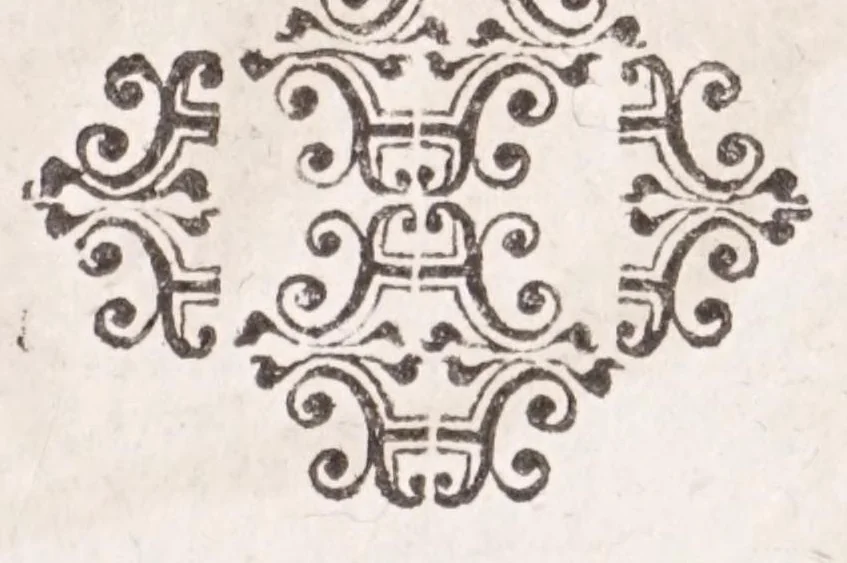 An illustration from De plantis exoticis libri duo Prosperi Alpini, philosophi medici, in gymnasium Patauino medicamentorum simplicium professoris ordinarij, & horti medici praefecti : opus completum, editum studio, ac opera Alpini Alpini, phylosophi & medici auctoris filij, 1627, leaf 69