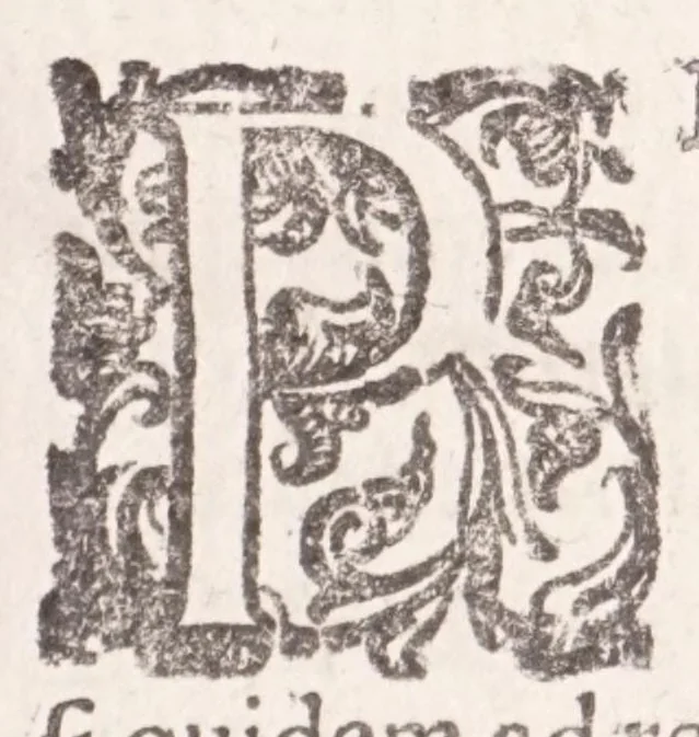 An illustration from De plantis exoticis libri duo Prosperi Alpini, philosophi medici, in gymnasium Patauino medicamentorum simplicium professoris ordinarij, & horti medici praefecti : opus completum, editum studio, ac opera Alpini Alpini, phylosophi & medici auctoris filij, 1627, leaf 7