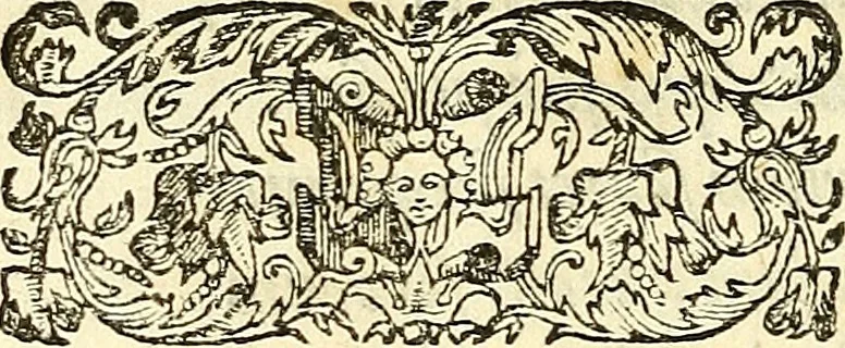 An illustration from De plantis libri XVI, 1583, leaf 15