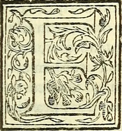 An illustration from De plantis libri XVI, 1583, leaf 190