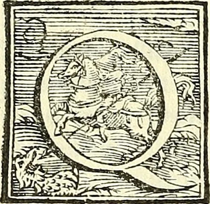 An illustration from De plantis libri XVI, 1583, leaf 361