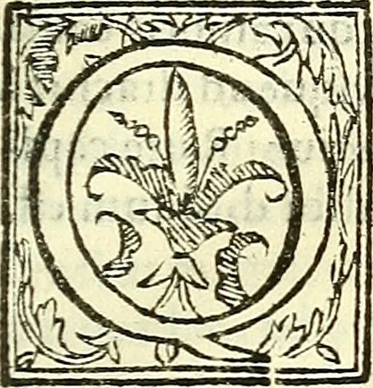 An illustration from De plantis libri XVI, 1583, leaf 414