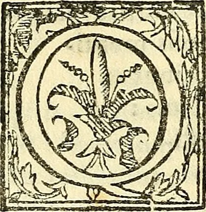 An illustration from De plantis libri XVI, 1583, leaf 475