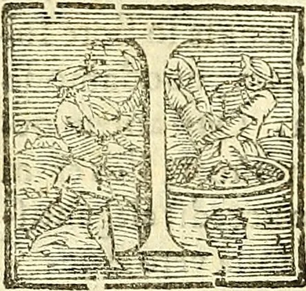 An illustration from De plantis libri XVI, 1583, leaf 549