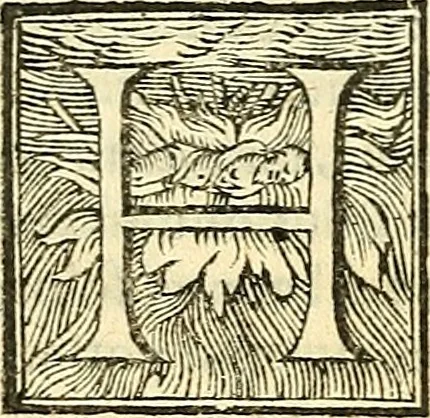 An illustration from De plantis libri XVI, 1583, leaf 607