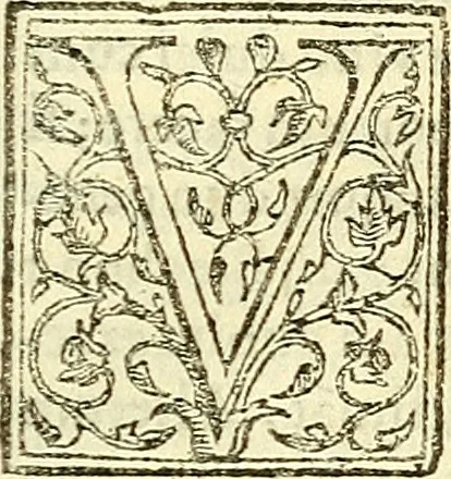 An illustration from De plantis libri XVI, 1583, leaf 634