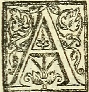 An illustration from De plantis libri XVI, 1583, leaf 666