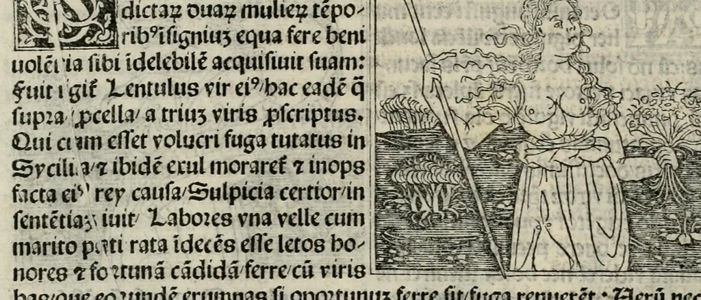 An illustration from De plurimis claris sceletisq mulieribus opus prope diuinu novissime congestum, leaf 104