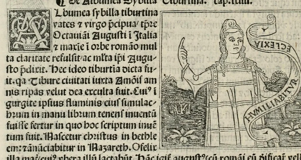 An illustration from De plurimis claris sceletisq mulieribus opus prope diuinu novissime congestum, leaf 104