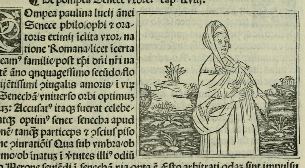 An illustration from De plurimis claris sceletisq mulieribus opus prope diuinu novissime congestum, leaf 109
