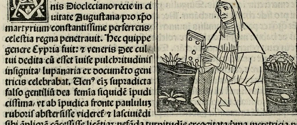 An illustration from De plurimis claris sceletisq mulieribus opus prope diuinu novissime congestum, leaf 204