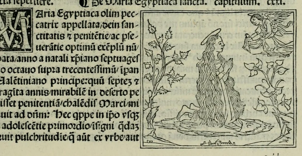An illustration from De plurimis claris sceletisq mulieribus opus prope diuinu novissime congestum, leaf 221