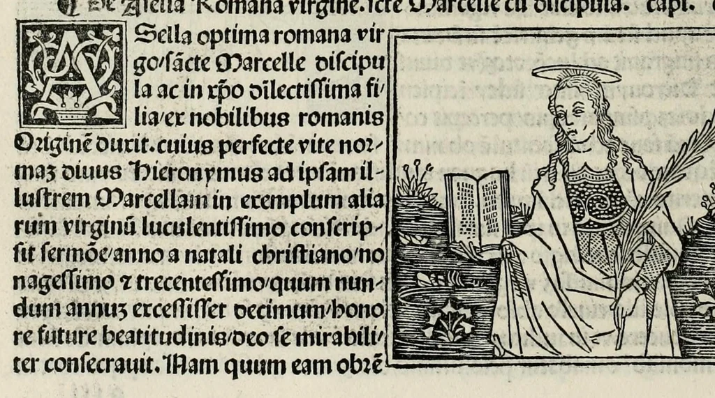 An illustration from De plurimis claris sceletisq mulieribus opus prope diuinu novissime congestum, leaf 224