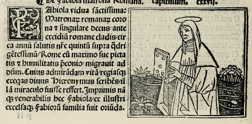 An illustration from De plurimis claris sceletisq mulieribus opus prope diuinu novissime congestum, leaf 238