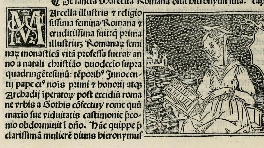 An illustration from De plurimis claris sceletisq mulieribus opus prope diuinu novissime congestum, leaf 246