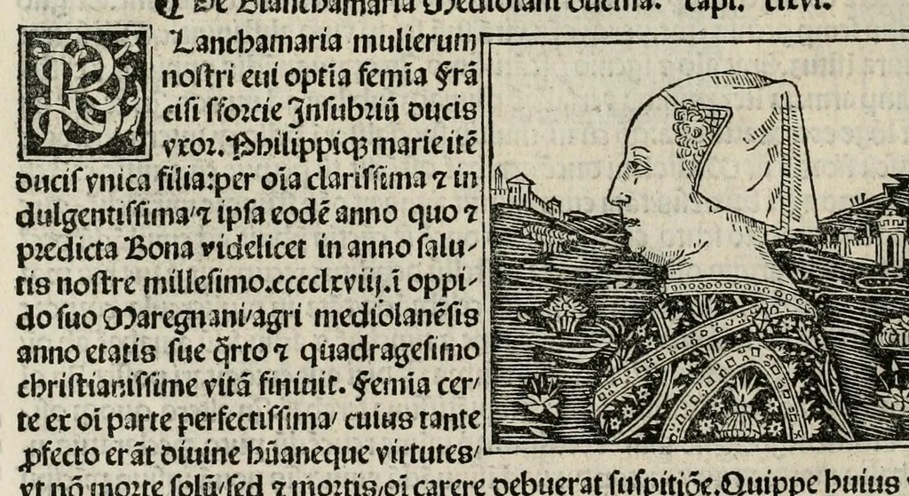An illustration from De plurimis claris sceletisq mulieribus opus prope diuinu novissime congestum, leaf 322