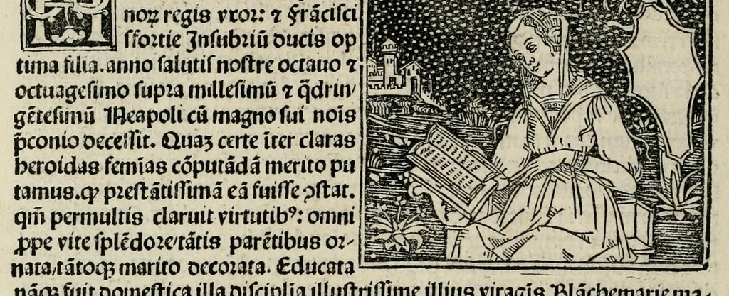 An illustration from De plurimis claris sceletisq mulieribus opus prope diuinu novissime congestum, leaf 336