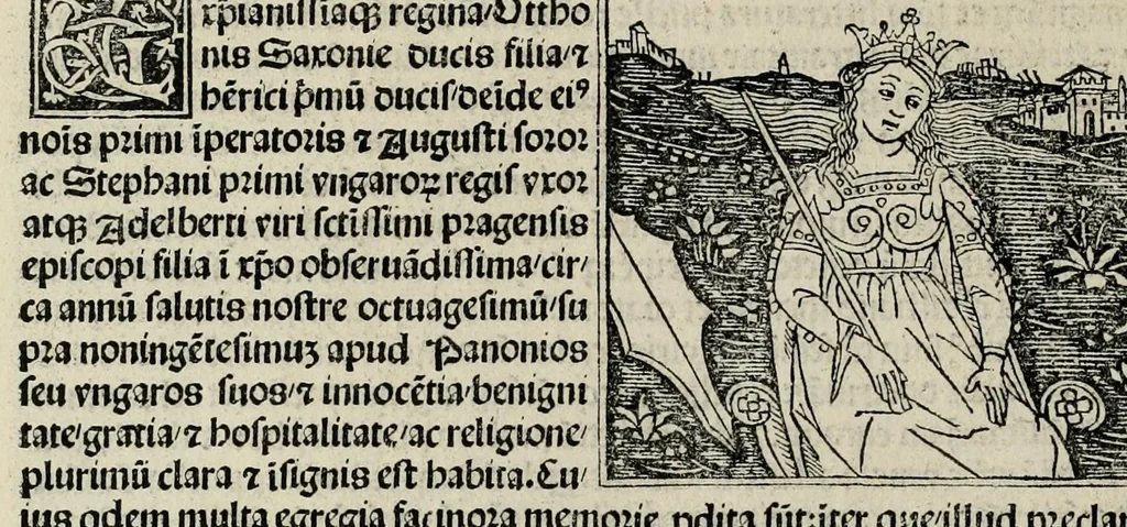 An illustration from De plurimis claris sceletisq mulieribus opus prope diuinu novissime congestum, leaf 348