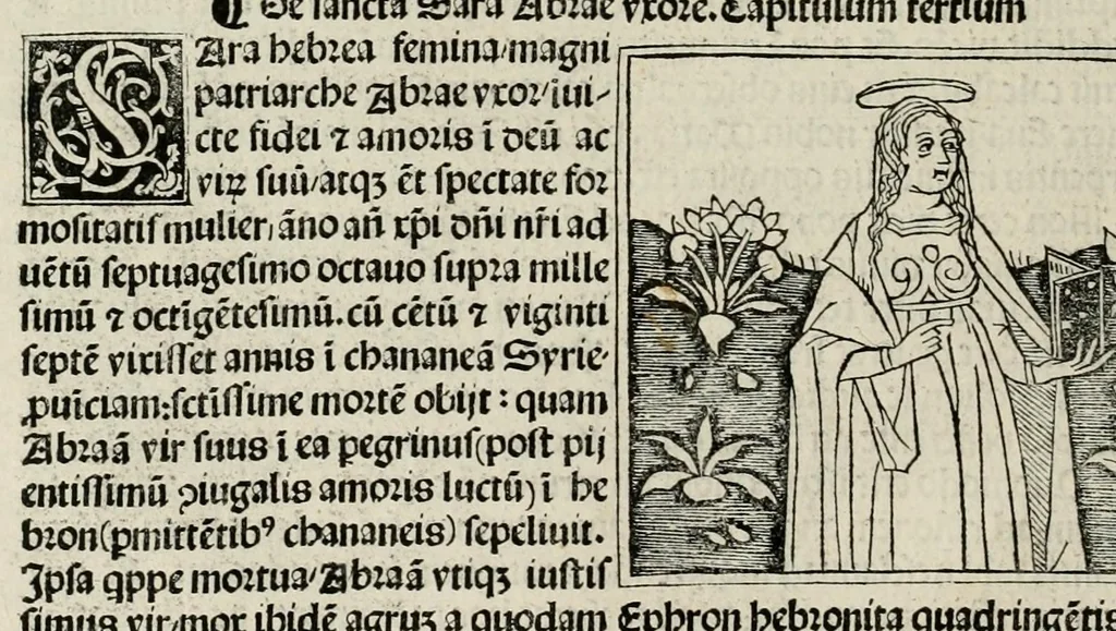 An illustration from De plurimis claris sceletisq mulieribus opus prope diuinu novissime congestum, leaf 42