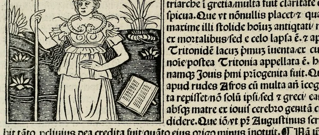 An illustration from De plurimis claris sceletisq mulieribus opus prope diuinu novissime congestum, leaf 48