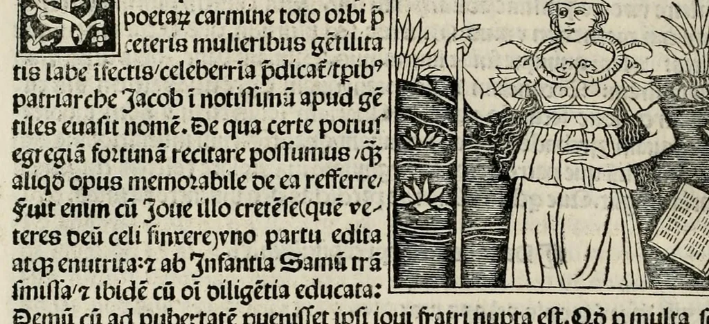 An illustration from De plurimis claris sceletisq mulieribus opus prope diuinu novissime congestum, leaf 50