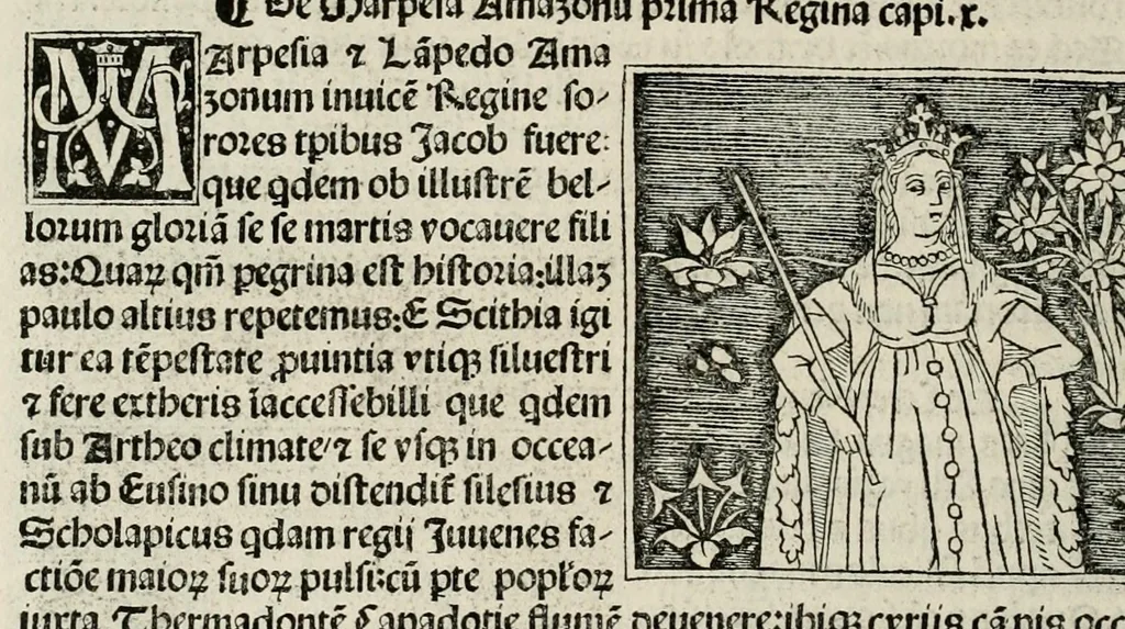 An illustration from De plurimis claris sceletisq mulieribus opus prope diuinu novissime congestum, leaf 52