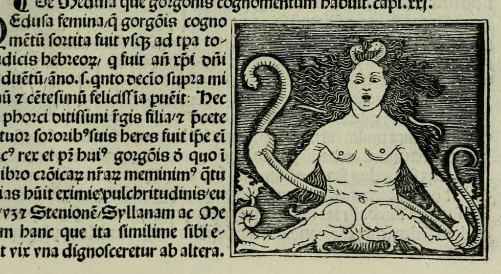 An illustration from De plurimis claris sceletisq mulieribus opus prope diuinu novissime congestum, leaf 61