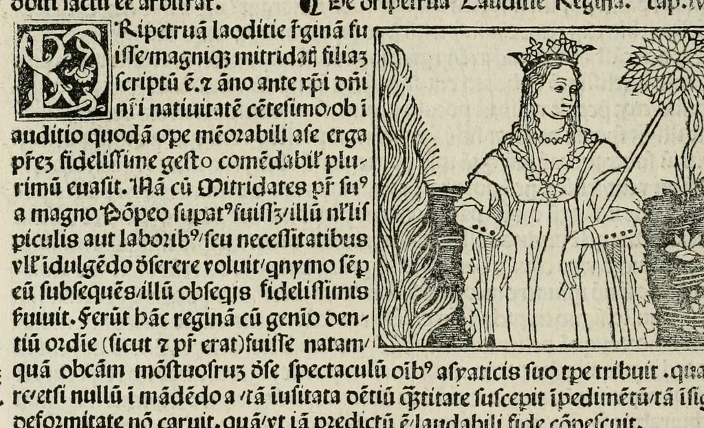An illustration from De plurimis claris sceletisq mulieribus opus prope diuinu novissime congestum, leaf 96