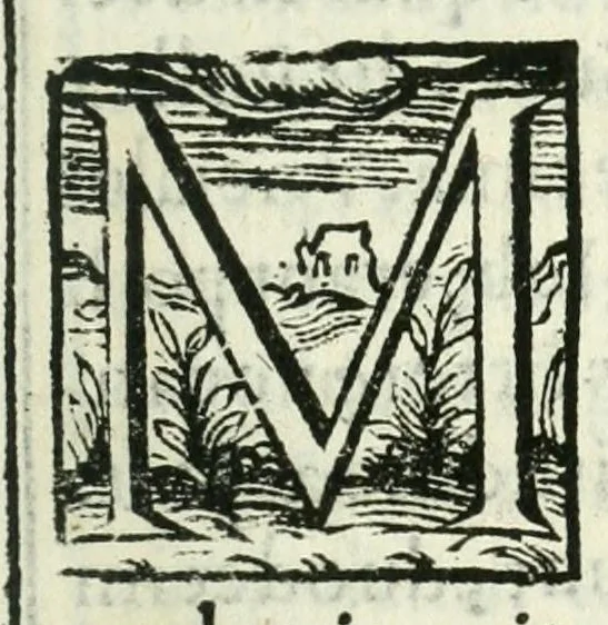 An illustration from De ponderibus et mensuris, 1599, leaf 145