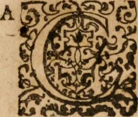 An illustration from De potestate legis mvnicipalis in advenas, et indigenas, tractatus gemina disqvisitione bipertitvs; ex pontificvm sanctionibvs, consiliorum scitis, & theologorum, ac iuris vtriusque consultorum doctrinis accuratè discussus: in quo praetereà complures conscientiae nodi distinctè, solidèque expediuntur, 1641, leaf 22