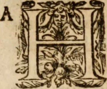 An illustration from De potestate legis mvnicipalis in advenas, et indigenas, tractatus gemina disqvisitione bipertitvs; ex pontificvm sanctionibvs, consiliorum scitis, & theologorum, ac iuris vtriusque consultorum doctrinis accuratè discussus: in quo praetereà complures conscientiae nodi distinctè, solidèque expediuntur, 1641, leaf 40