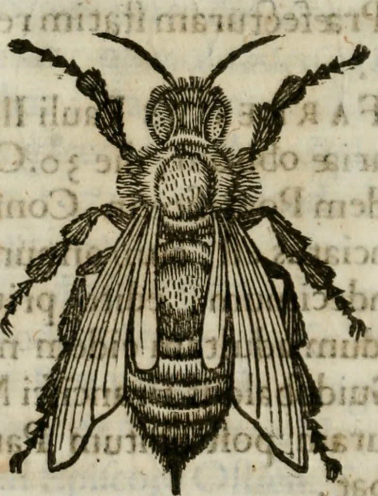 An illustration from De praefecto vrbis liber, 1631, leaf 103