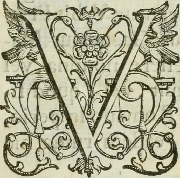 An illustration from De praefecto vrbis liber, 1631, leaf 16