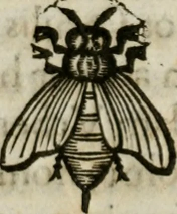 An illustration from De praefecto vrbis liber, 1631, leaf 29