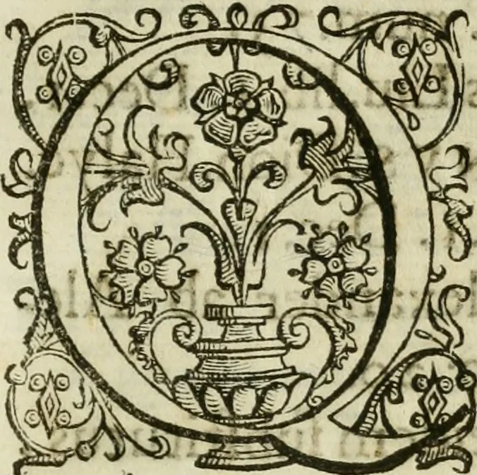 An illustration from De praefecto vrbis liber, 1631, leaf 48